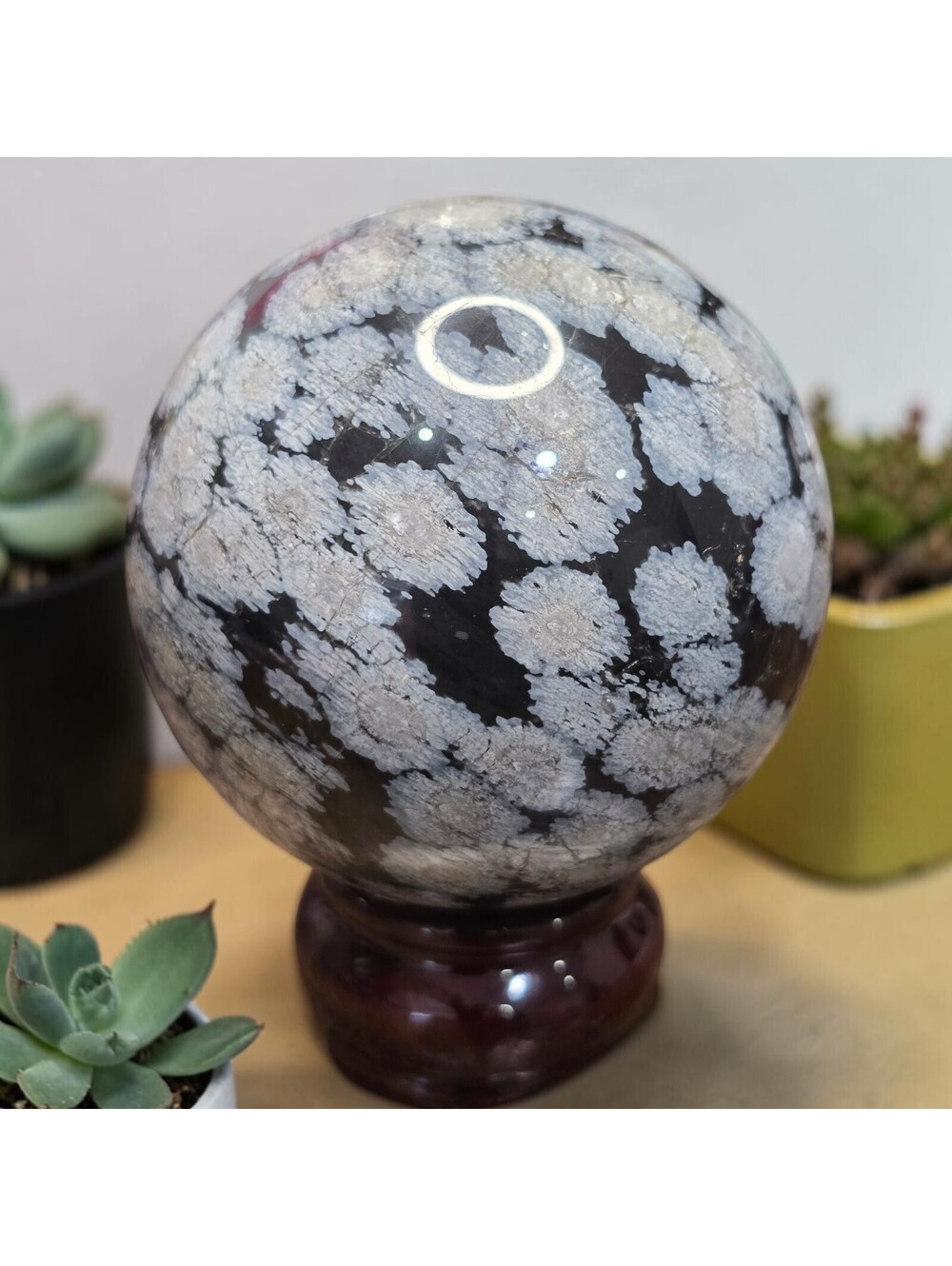 A415. Snowflake Obsidian 71mm Natural Crystal Sphere Orb